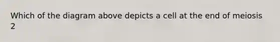 Which of the diagram above depicts a cell at the end of meiosis 2
