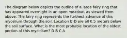 The diagram below depicts the outline of a large fairy ring that has appeared overnight in an open meadow, as viewed from above. The fairy ring represents the furthest advance of this mycelium through the soil. Location B-D are all 0.5 meters below the soil surface. What is the most probable location of the oldest portion of this mycelium? D B C A