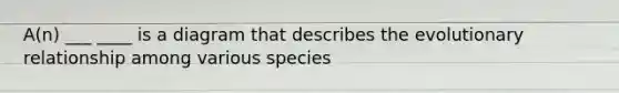 A(n) ___ ____ is a diagram that describes the evolutionary relationship among various species