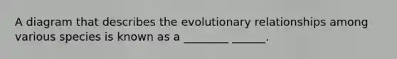 A diagram that describes the evolutionary relationships among various species is known as a ________ ______.