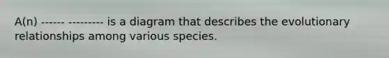 A(n) ------ --------- is a diagram that describes the evolutionary relationships among various species.