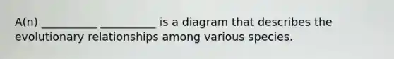 A(n) __________ __________ is a diagram that describes the evolutionary relationships among various species.