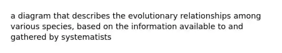 a diagram that describes the evolutionary relationships among various species, based on the information available to and gathered by systematists