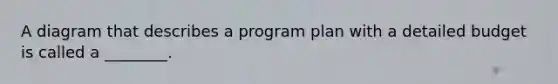 A diagram that describes a program plan with a detailed budget is called a ________.