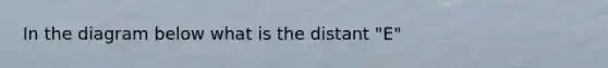 In the diagram below what is the distant "E"