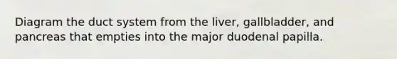 Diagram the duct system from the liver, gallbladder, and pancreas that empties into the major duodenal papilla.