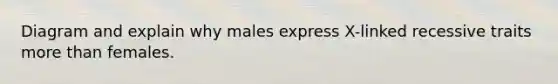 Diagram and explain why males express X-linked recessive traits more than females.