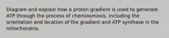 Diagram and explain how a proton gradient is used to generate ATP through the process of chemiosmosis, including the orientation and location of the gradient and ATP synthase in the mitochondria.