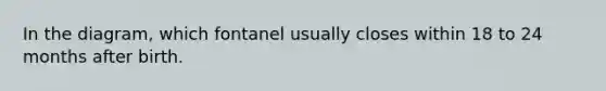 In the diagram, which fontanel usually closes within 18 to 24 months after birth.