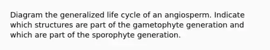 Diagram the generalized life cycle of an angiosperm. Indicate which structures are part of the gametophyte generation and which are part of the sporophyte generation.