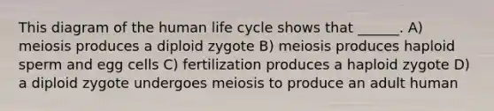 This diagram of the human life cycle shows that ______. A) meiosis produces a diploid zygote B) meiosis produces haploid sperm and egg cells C) fertilization produces a haploid zygote D) a diploid zygote undergoes meiosis to produce an adult human