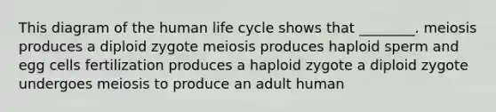 This diagram of the human life cycle shows that ________. meiosis produces a diploid zygote meiosis produces haploid sperm and egg cells fertilization produces a haploid zygote a diploid zygote undergoes meiosis to produce an adult human