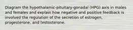 Diagram the hypothalamic-pituitary-gonadal (HPG) axis in males and females and explain how negative and positive feedback is involved the regulation of the secretion of estrogen, progesterone, and testosterone.