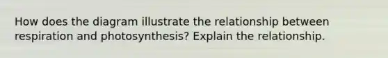 How does the diagram illustrate the relationship between respiration and photosynthesis? Explain the relationship.