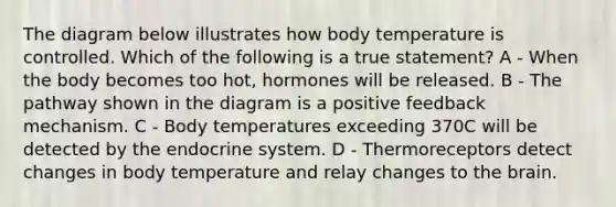 The diagram below illustrates how body temperature is controlled. Which of the following is a true statement? A - When the body becomes too hot, hormones will be released. B - The pathway shown in the diagram is a positive feedback mechanism. C - Body temperatures exceeding 370C will be detected by the <a href='https://www.questionai.com/knowledge/k97r8ZsIZg-endocrine-system' class='anchor-knowledge'>endocrine system</a>. D - Thermoreceptors detect changes in body temperature and relay changes to <a href='https://www.questionai.com/knowledge/kLMtJeqKp6-the-brain' class='anchor-knowledge'>the brain</a>.