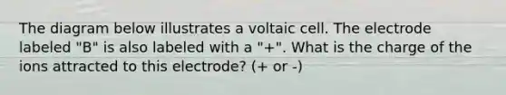 The diagram below illustrates a voltaic cell. The electrode labeled "B" is also labeled with a "+". What is the charge of the ions attracted to this electrode? (+ or -)