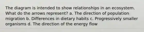 The diagram is intended to show relationships in an ecosystem. What do the arrows represent? a. The direction of population migration b. Differences in dietary habits c. Progressively smaller organisms d. The direction of the energy flow