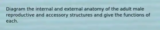 Diagram the internal and external anatomy of the adult male reproductive and accessory structures and give the functions of each.