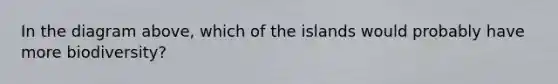 In the diagram above, which of the islands would probably have more biodiversity?