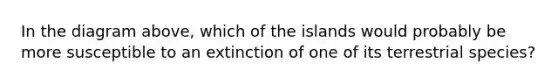 In the diagram above, which of the islands would probably be more susceptible to an extinction of one of its terrestrial species?