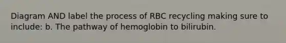 Diagram AND label the process of RBC recycling making sure to include: b. The pathway of hemoglobin to bilirubin.