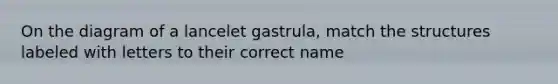 On the diagram of a lancelet gastrula, match the structures labeled with letters to their correct name