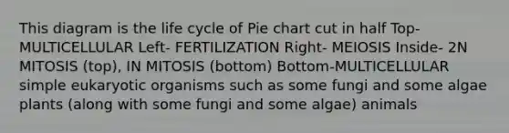 This diagram is the life cycle of Pie chart cut in half Top- MULTICELLULAR Left- FERTILIZATION Right- MEIOSIS Inside- 2N MITOSIS (top), IN MITOSIS (bottom) Bottom-MULTICELLULAR simple eukaryotic organisms such as some fungi and some algae plants (along with some fungi and some algae) animals