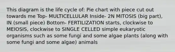 This diagram is the life cycle of: Pie chart with piece cut out towards me Top- MULTICELLULAR Inside- 2N MITOSIS (big part), IN (small piece) Bottom- FERTILIZATION starts, clockwise to MEIOSIS, clockwise to SINGLE CELLED simple eukaryotic organisms such as some fungi and some algae plants (along with some fungi and some algae) animals