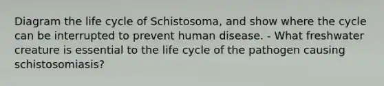 Diagram the life cycle of Schistosoma, and show where the cycle can be interrupted to prevent human disease. - What freshwater creature is essential to the life cycle of the pathogen causing schistosomiasis?