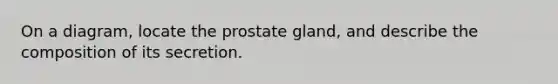 On a diagram, locate the prostate gland, and describe the composition of its secretion.