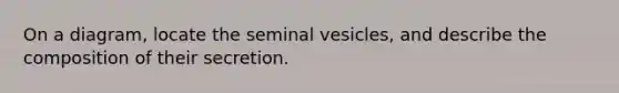 On a diagram, locate the seminal vesicles, and describe the composition of their secretion.