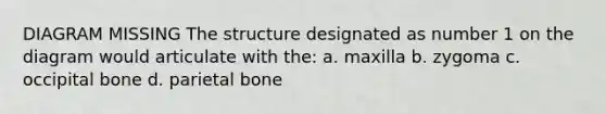 DIAGRAM MISSING The structure designated as number 1 on the diagram would articulate with the: a. maxilla b. zygoma c. occipital bone d. parietal bone