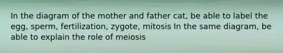 In the diagram of the mother and father cat, be able to label the egg, sperm, fertilization, zygote, mitosis In the same diagram, be able to explain the role of meiosis