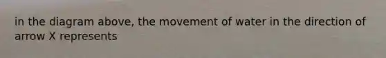in the diagram above, the movement of water in the direction of arrow X represents