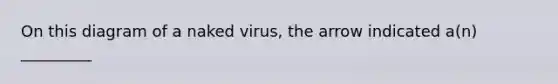 On this diagram of a naked virus, the arrow indicated a(n) _________