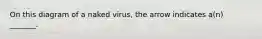 On this diagram of a naked virus, the arrow indicates a(n) _______.