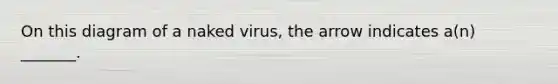 On this diagram of a naked virus, the arrow indicates a(n) _______.