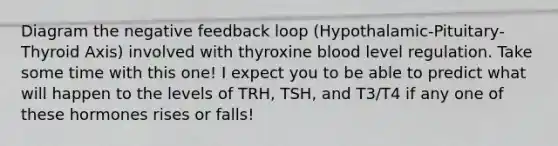 Diagram the negative feedback loop (Hypothalamic-Pituitary-Thyroid Axis) involved with thyroxine blood level regulation. Take some time with this one! I expect you to be able to predict what will happen to the levels of TRH, TSH, and T3/T4 if any one of these hormones rises or falls!