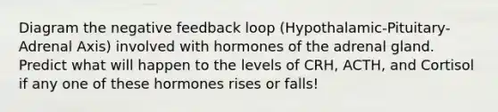 Diagram the negative feedback loop (Hypothalamic-Pituitary-Adrenal Axis) involved with hormones of the adrenal gland. Predict what will happen to the levels of CRH, ACTH, and Cortisol if any one of these hormones rises or falls!