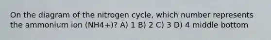 On the diagram of the nitrogen cycle, which number represents the ammonium ion (NH4+)? A) 1 B) 2 C) 3 D) 4 middle bottom