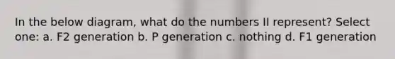 In the below diagram, what do the numbers II represent? Select one: a. F2 generation b. P generation c. nothing d. F1 generation