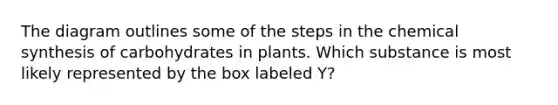 The diagram outlines some of the steps in the chemical synthesis of carbohydrates in plants. Which substance is most likely represented by the box labeled Y?