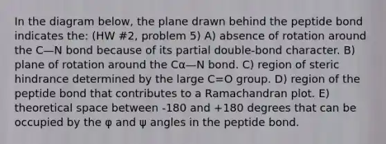 In the diagram below, the plane drawn behind the peptide bond indicates the: (HW #2, problem 5) A) absence of rotation around the C—N bond because of its partial double-bond character. B) plane of rotation around the Cα—N bond. C) region of steric hindrance determined by the large C=O group. D) region of the peptide bond that contributes to a Ramachandran plot. E) theoretical space between -180 and +180 degrees that can be occupied by the φ and ψ angles in the peptide bond.