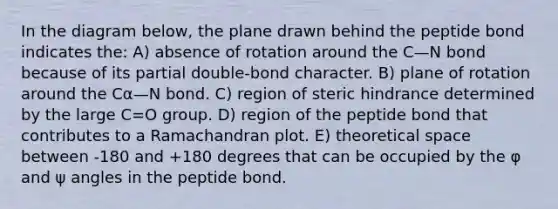 In the diagram below, the plane drawn behind the peptide bond indicates the: A) absence of rotation around the C—N bond because of its partial double-bond character. B) plane of rotation around the Cα—N bond. C) region of steric hindrance determined by the large C=O group. D) region of the peptide bond that contributes to a Ramachandran plot. E) theoretical space between -180 and +180 degrees that can be occupied by the φ and ψ angles in the peptide bond.