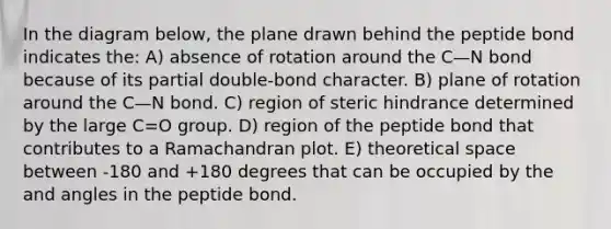 In the diagram below, the plane drawn behind the peptide bond indicates the: A) absence of rotation around the C—N bond because of its partial double-bond character. B) plane of rotation around the C—N bond. C) region of steric hindrance determined by the large C=O group. D) region of the peptide bond that contributes to a Ramachandran plot. E) theoretical space between -180 and +180 degrees that can be occupied by the and angles in the peptide bond.