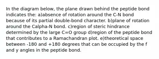 In the diagram below, the plane drawn behind the peptide bond indicates the: a)absence of rotation around the C-N bond because of its partial double-bond character. b)plane of rotation around the Calpha-N bond. c)region of steric hindrance determined by the large C=O group d)region of the peptide bond that contributes to a Ramachandran plot. e)theoretical space between -180 and +180 degrees that can be occupied by the f and y angles in the peptide bond.