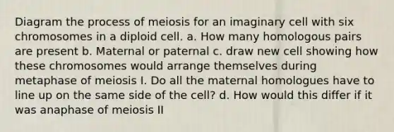 Diagram the process of meiosis for an imaginary cell with six chromosomes in a diploid cell. a. How many homologous pairs are present b. Maternal or paternal c. draw new cell showing how these chromosomes would arrange themselves during metaphase of meiosis I. Do all the maternal homologues have to line up on the same side of the cell? d. How would this differ if it was anaphase of meiosis II