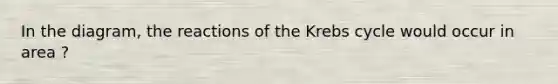 In the diagram, the reactions of the Krebs cycle would occur in area ?