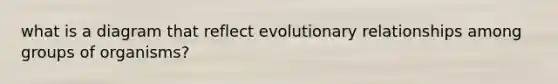 what is a diagram that reflect evolutionary relationships among groups of organisms?