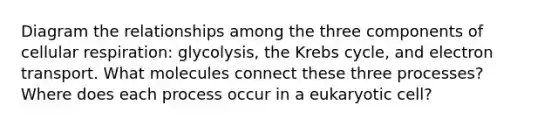 Diagram the relationships among the three components of cellular respiration: glycolysis, the <a href='https://www.questionai.com/knowledge/kqfW58SNl2-krebs-cycle' class='anchor-knowledge'>krebs cycle</a>, and electron transport. What molecules connect these three processes? Where does each process occur in a eukaryotic cell?